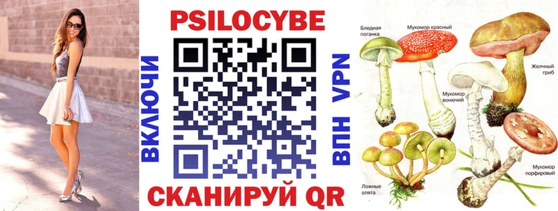 маркетплейс телеграм Зверево Псилоцибиновые грибы Magic Shrooms